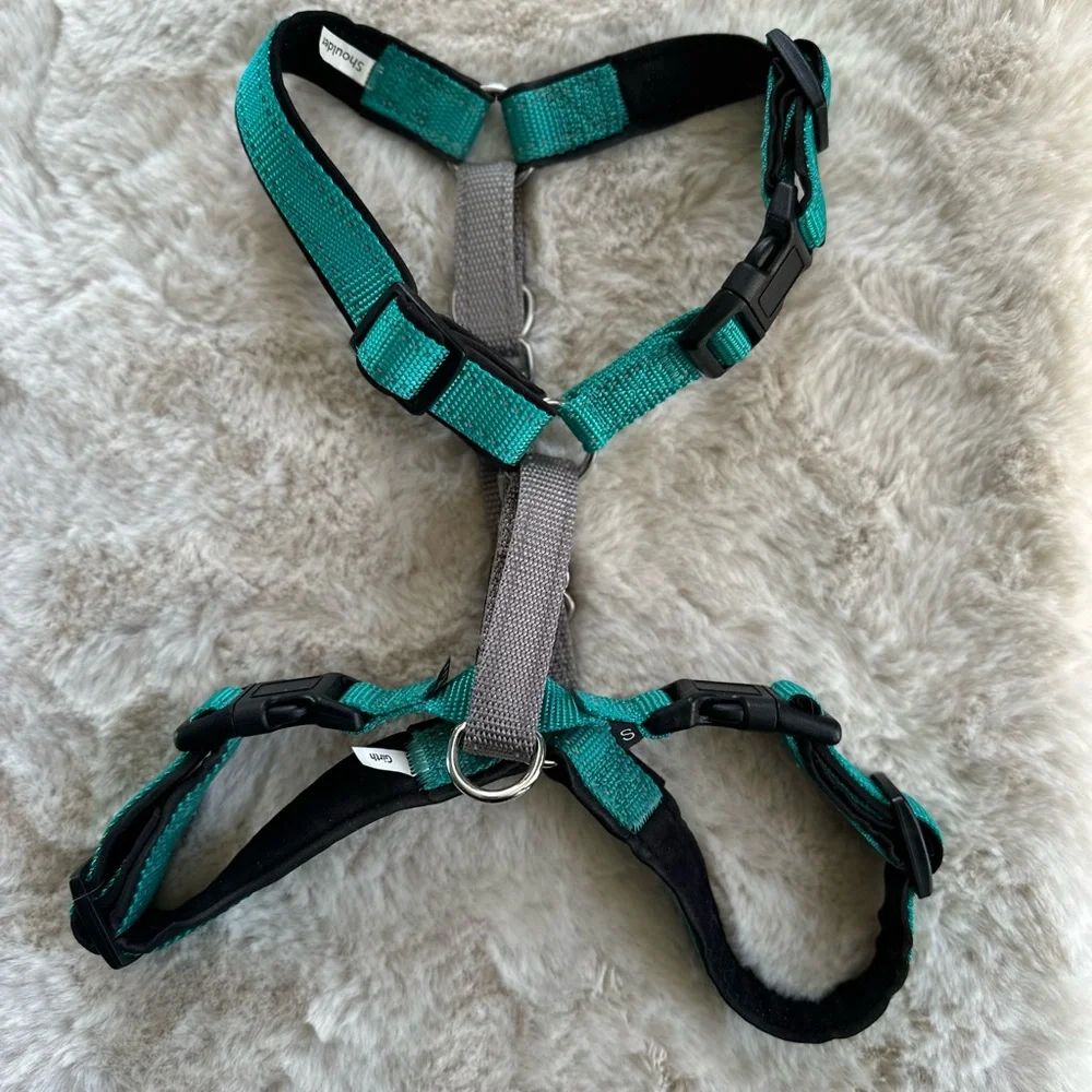 PetSafe 3-in-1 Adjustable Dog Harness Teal Small Padded No-Pull